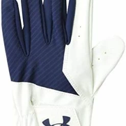 Budget 🎁 Medal Golf Gloves Steel (035)/steel ✔️ -FootJoy shop 31hv8oQg0L. AC