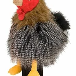 Wholesale 💯 Chick 😉